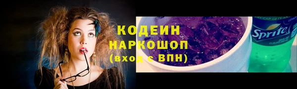 гидра Арсеньев