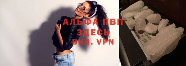 гидра Арсеньев