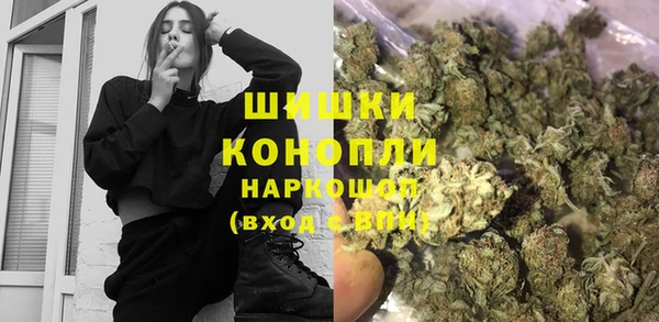 гидра Арсеньев