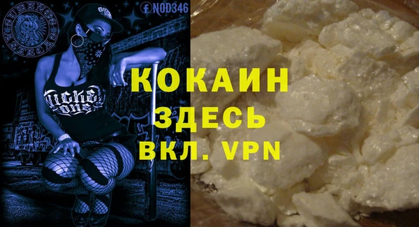 гидра Арсеньев