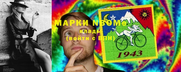 гидра Арсеньев