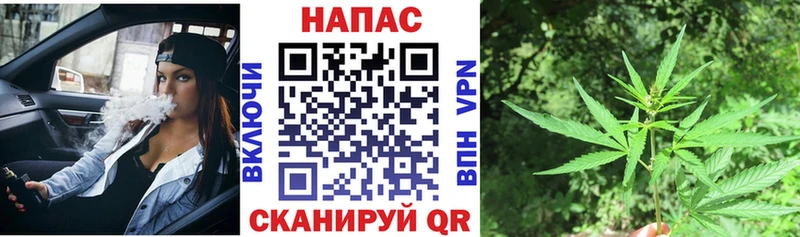 маркетплейс состав  Любань  ссылка на мегу как зайти  Бошки марихуана гибрид  наркота 